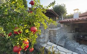 Terra Petra Villa At Psari Trikolonon Gortynia